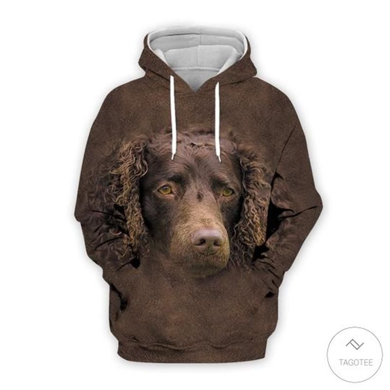 American Water Spaniel 3 D All Over Print Hoodie