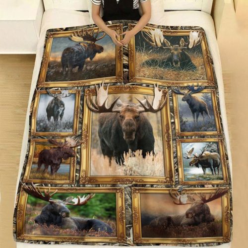 Moose In Wild Blanket