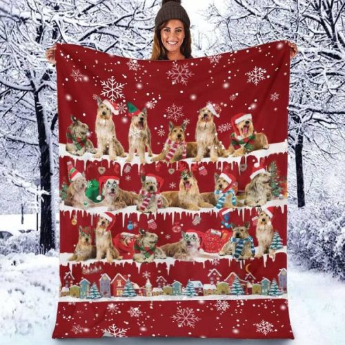 Berger Picard Christmas Blanket
