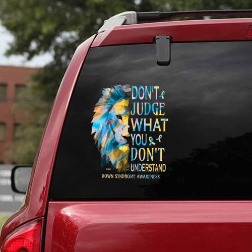 Dont Judge What You Dont Understand Down Syndrome Awareness Decals