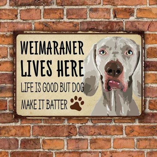 Weimaraner Lives Here Life Is Good But Dog Make It Batter Metal Sign