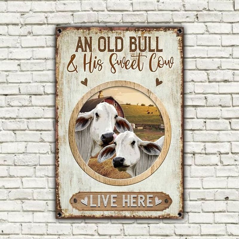Brahman Cattle Old Bull And Sweet Cow Live Here Metal Sign