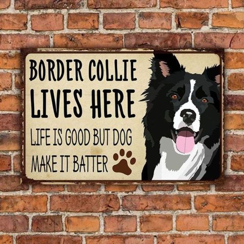 Border Collie Lives Here Life Is Good But Dog Make It Batter Metal Sign